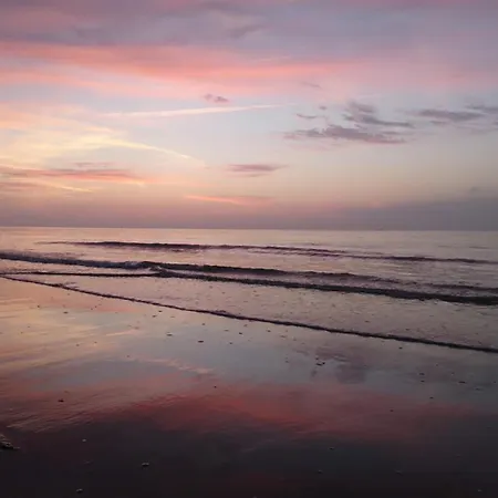 דירה Haus Seeigel Stranddistel *